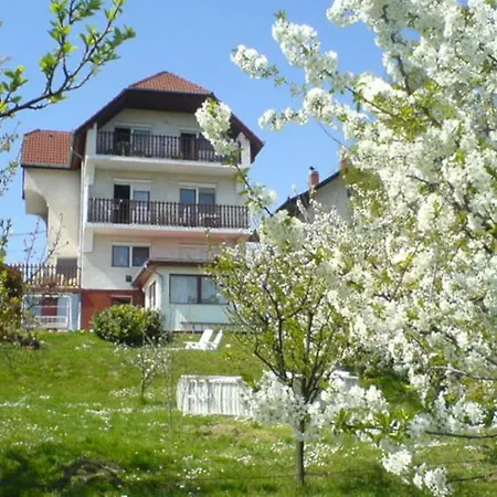 Berki Apartment Heviz