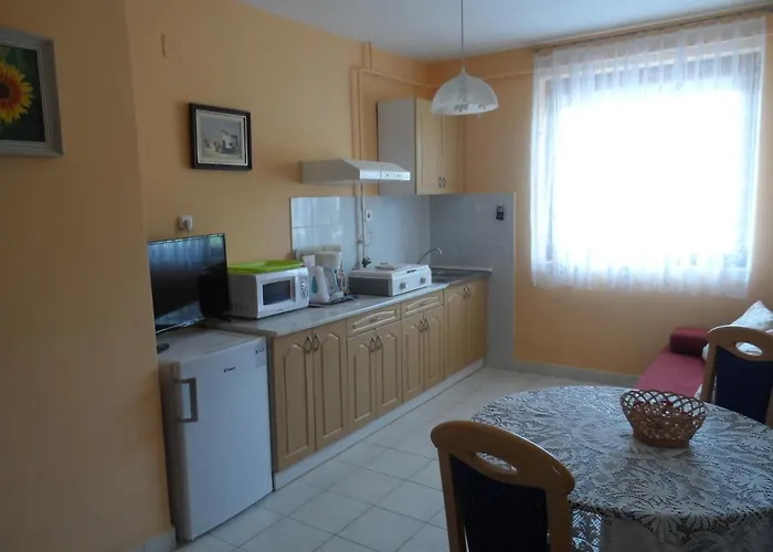 Apartament Berki *